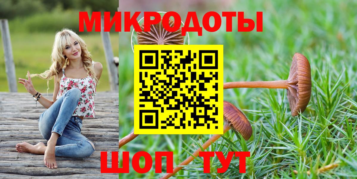 Галлюциногенные грибы Cubensis Малгобек
