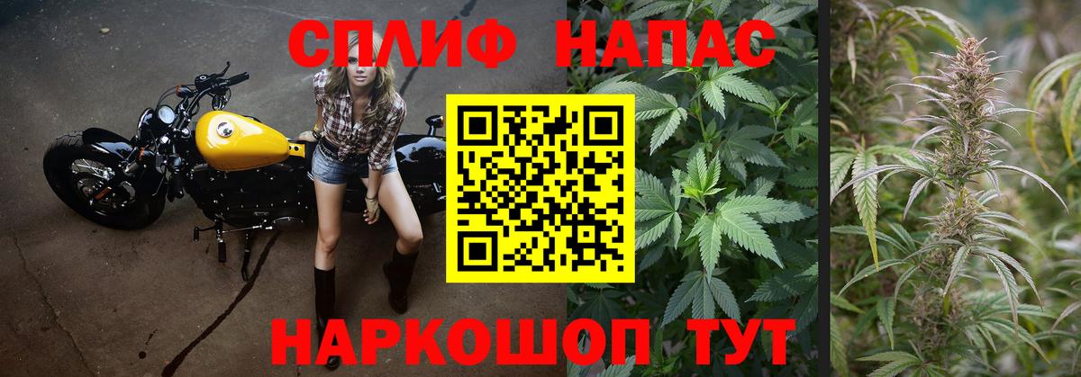 Шишки марихуана AK-47 Малгобек